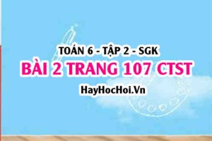Giải bài 2 trang 107 Toán 6 Tập 2 Chân trời sáng tạo